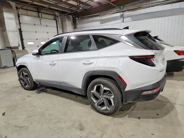 5NMJFCDE8RH358521 2024 HYUNDAI TUCSON - Image 2