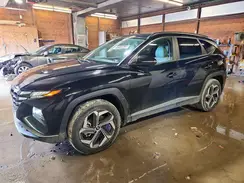 5NMJFCDE9RH300790 2024 HYUNDAI TUCSON