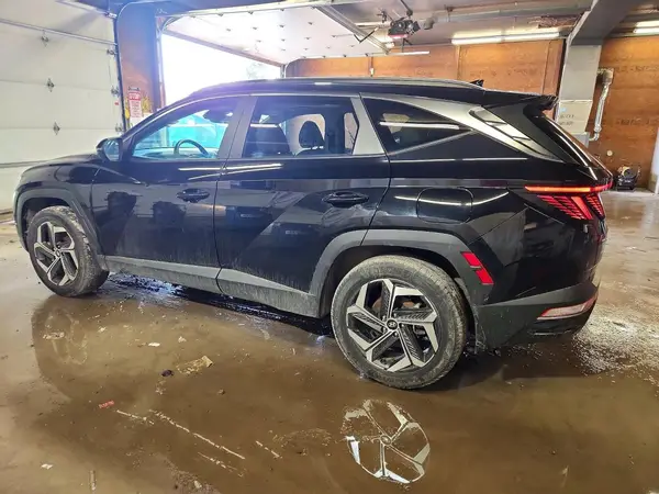 5NMJFCDE9RH300790 2024 HYUNDAI TUCSON - Image 2