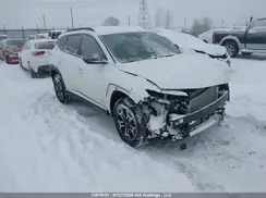 5NMJFCDE9SH441106 2025 HYUNDAI TUCSON