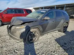 5NMJFCDEXRH309630 2024 HYUNDAI TUCSON