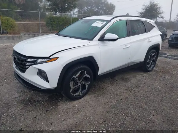 5NMJFCDEXRH313354 2024 HYUNDAI TUCSON - Image 2