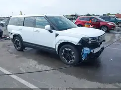5NMP14GL0RH032382 2024 HYUNDAI SANTA FE