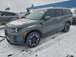 5NMP14GL9RH048533 2024 HYUNDAI SANTA FE