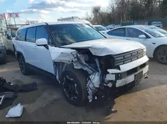 5NMP1DGL3RH043005 2024 HYUNDAI SANTA FE