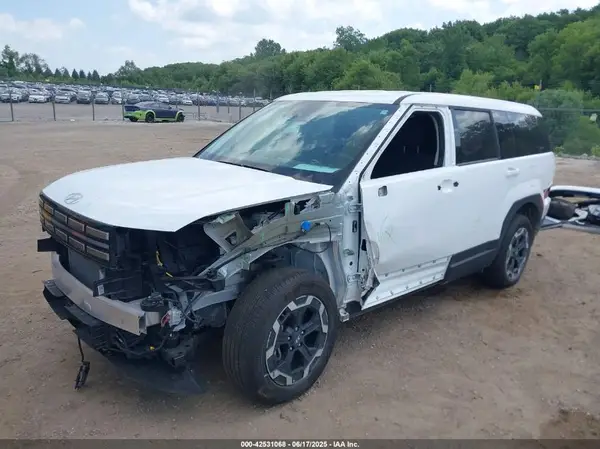 5NMP1DGL7RH051155 2024 HYUNDAI SANTA FE - Image 2