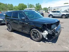 5NMP1DGL9RH014589 2024 HYUNDAI SANTA FE