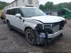 5NMP1DGLXSH110835 2025 HYUNDAI SANTA FE