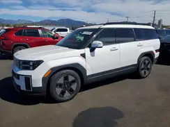 5NMP24G11RH003193 2024 HYUNDAI SANTA FE