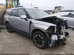 5NMP24GL2RH022210 2024 HYUNDAI SANTA FE