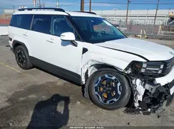 5NMP24GL3RH006663 2024 HYUNDAI SANTA FE