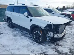 5NMP24GL6RH000355 2024 HYUNDAI SANTA FE