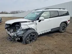 5NMP24GL6RH006897 2024 HYUNDAI SANTA FE