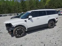 5NMP24GL9RH039991 2024 HYUNDAI SANTA FE