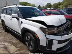 5NMP2DG10RH007509 2024 HYUNDAI SANTA FE
