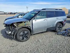 5NMP2DG10RH009910 2024 HYUNDAI SANTA FE