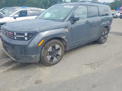 5NMP2DG11RH009544 2024 HYUNDAI SANTA FE