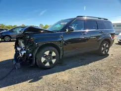 5NMP2DG12SH023393 2025 HYUNDAI SANTA FE