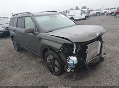 5NMP2DG13RH014017 2024 HYUNDAI SANTA FE