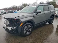 5NMP2DG13SH056824 2025 HYUNDAI SANTA FE
