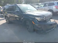 5NMP2DG14RH011630 2024 HYUNDAI SANTA FE