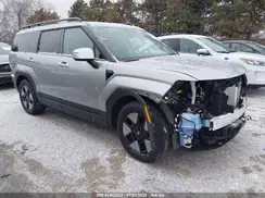 5NMP2DG15RH000393 2024 HYUNDAI SANTA FE