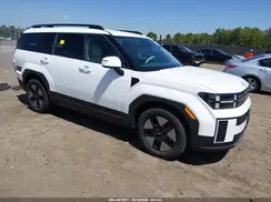 5NMP2DG15RH007280 2024 HYUNDAI SANTA FE