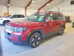 5NMP2DG15RH007344 2024 HYUNDAI SANTA FE