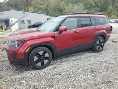 5NMP2DG19RH008268 2024 HYUNDAI SANTA FE
