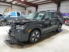 5NMP2DG1XRH003922 2024 HYUNDAI SANTA FE