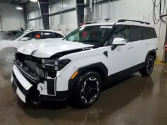 5NMP2DGL0RH014364 2024 HYUNDAI SANTA FE