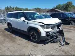 5NMP2DGL2RH002278 2024 HYUNDAI SANTA FE