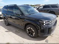 5NMP2DGL2RH027181 2024 HYUNDAI SANTA FE