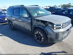 5NMP2DGL2RH030162 2024 HYUNDAI SANTA FE