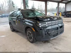 5NMP2DGL2RH060388 2024 HYUNDAI SANTA FE