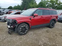 5NMP2DGL3RH027528 2024 HYUNDAI SANTA FE