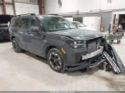 5NMP2DGL3RH064918 2024 HYUNDAI SANTA FE