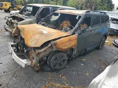 5NMP2DGL4SH070233 2025 HYUNDAI SANTA FE
