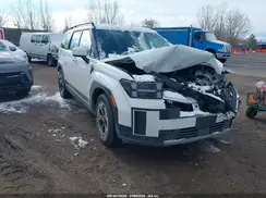 5NMP2DGL5RH027711 2024 HYUNDAI SANTA FE