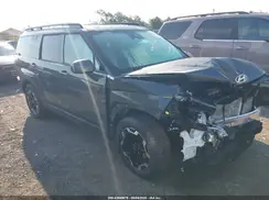 5NMP2DGL5SH095772 2025 HYUNDAI SANTA FE