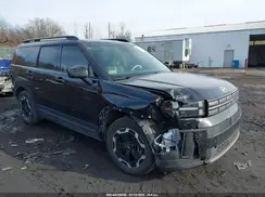 5NMP2DGL6RH003711 2024 HYUNDAI SANTA FE