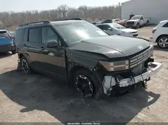 5NMP2DGL6RH013512 2024 HYUNDAI SANTA FE