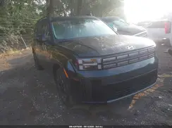 5NMP2DGL8SH129123 2025 HYUNDAI SANTA FE