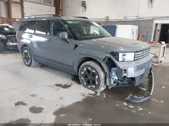 5NMP2DGL9RH013312 2024 HYUNDAI SANTA FE