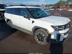 5NMP2DGLXRH010757 2024 HYUNDAI SANTA FE