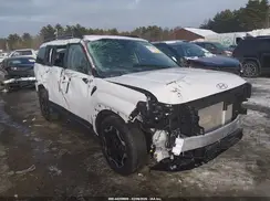 5NMP2DGLXSH142682 2025 HYUNDAI SANTA FE