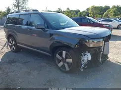 5NMP3DG16RH011769 2024 HYUNDAI SANTA FE