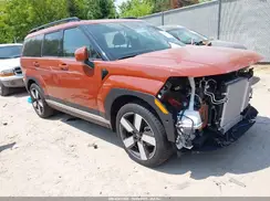 5NMP3DG16SH025015 2025 HYUNDAI SANTA FE