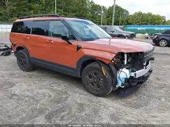 5NMP3DGL0RH057325 2024 HYUNDAI SANTA FE