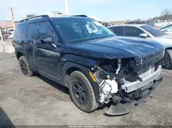 5NMP3DGL1RH002799 2024 HYUNDAI SANTA FE